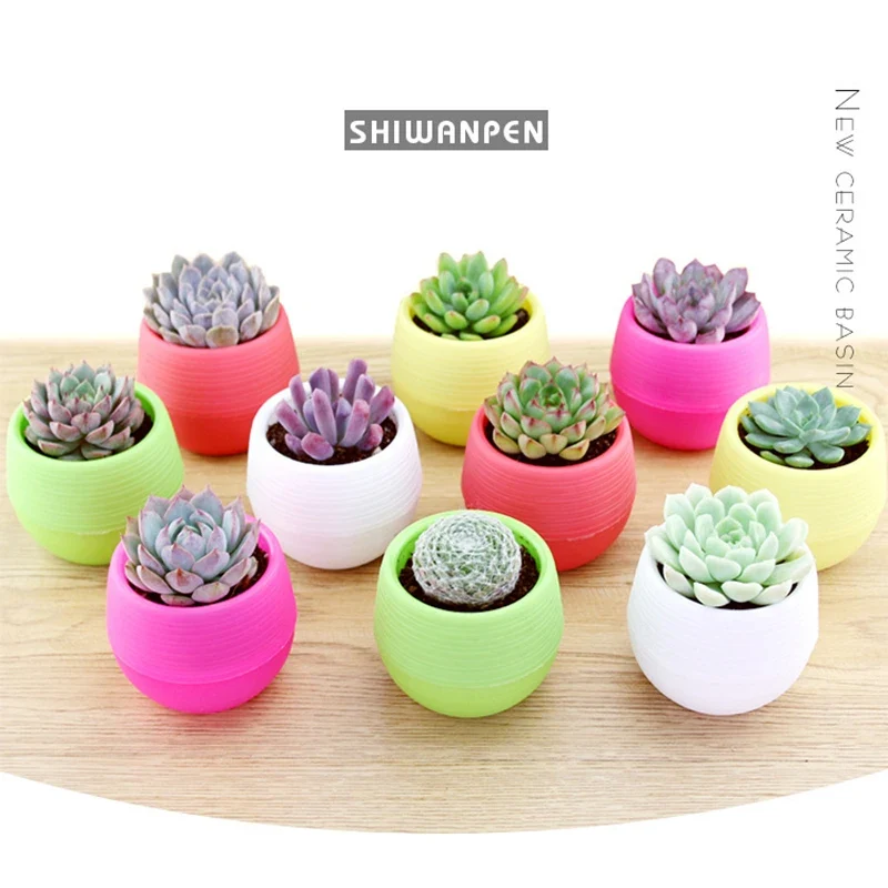 Mini Colourfully-Round Flower Pots